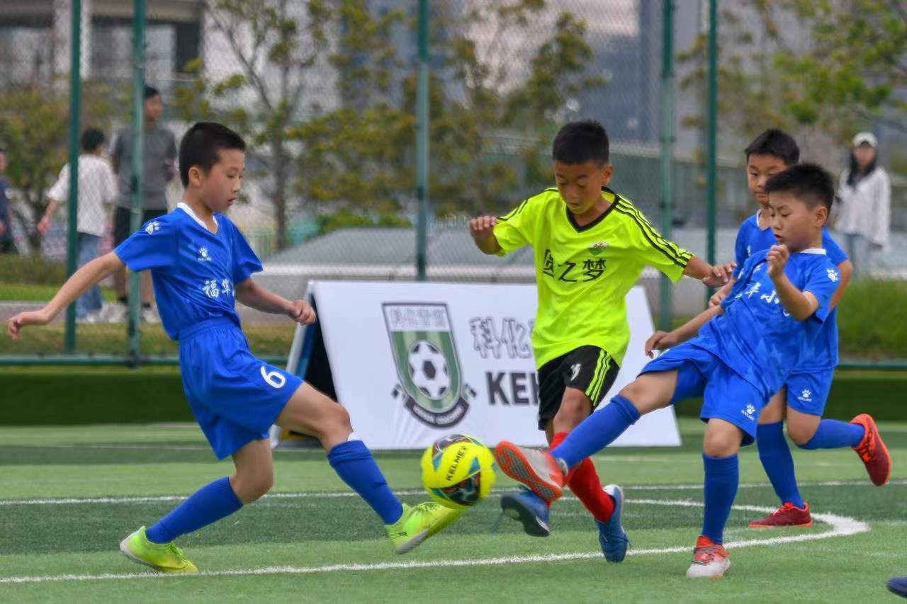 这些案例表 这些案例表